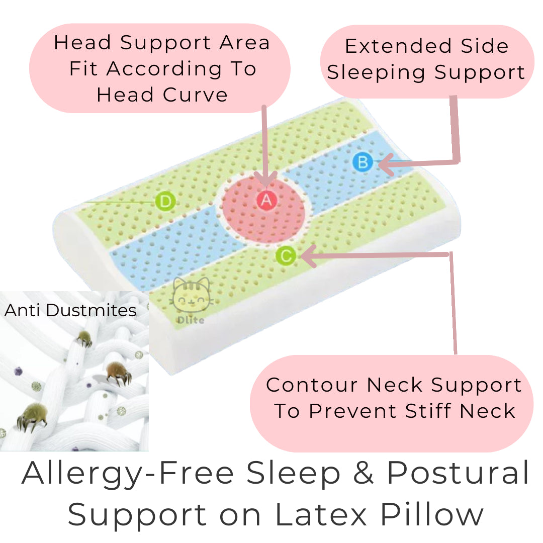 ✅ Dlite DRest Natural Latex Pillow 100% Cotton Pillowcase Kids Pillow 42*27*6cm SGS Compliant