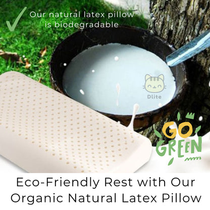 ✅ Dlite DRest Natural Latex Pillow 100% Cotton Pillowcase Kids Pillow 42*27*6cm SGS Compliant